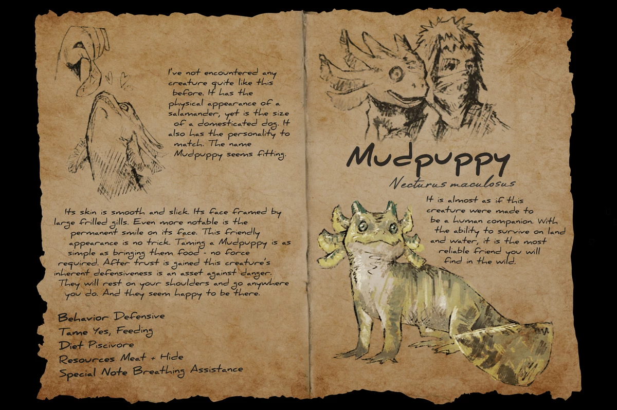 Разработчики ARK: Survival Evolved делятся подробностями о подводном дополнении Aquatica Разработчики ARK: Survival Evolved делятся подробностями о подводном дополнении Aquatica