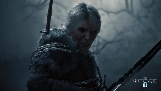 CD Projekt RED сохраняет высокие стандарты качества в разработке The Witcher 4